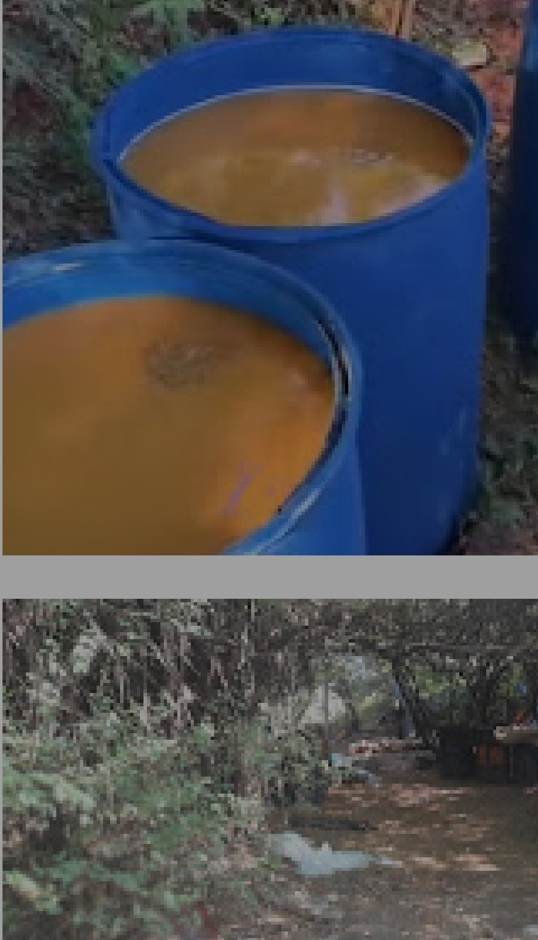 महात्मा गांधी जी की जन्म स्थली गुजरात जहां पर शराब बंदी होने के बावजूद भी खुले आम शराब माफियाओ द्वारा चल रहे दारू जुगार के अड्डों पर