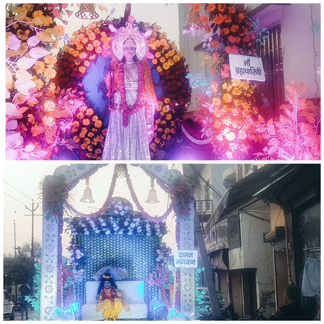 मां ब्रह्मचारिणी का भव्य डोला निकाला गया, देखने को उमड़ी भीड़।