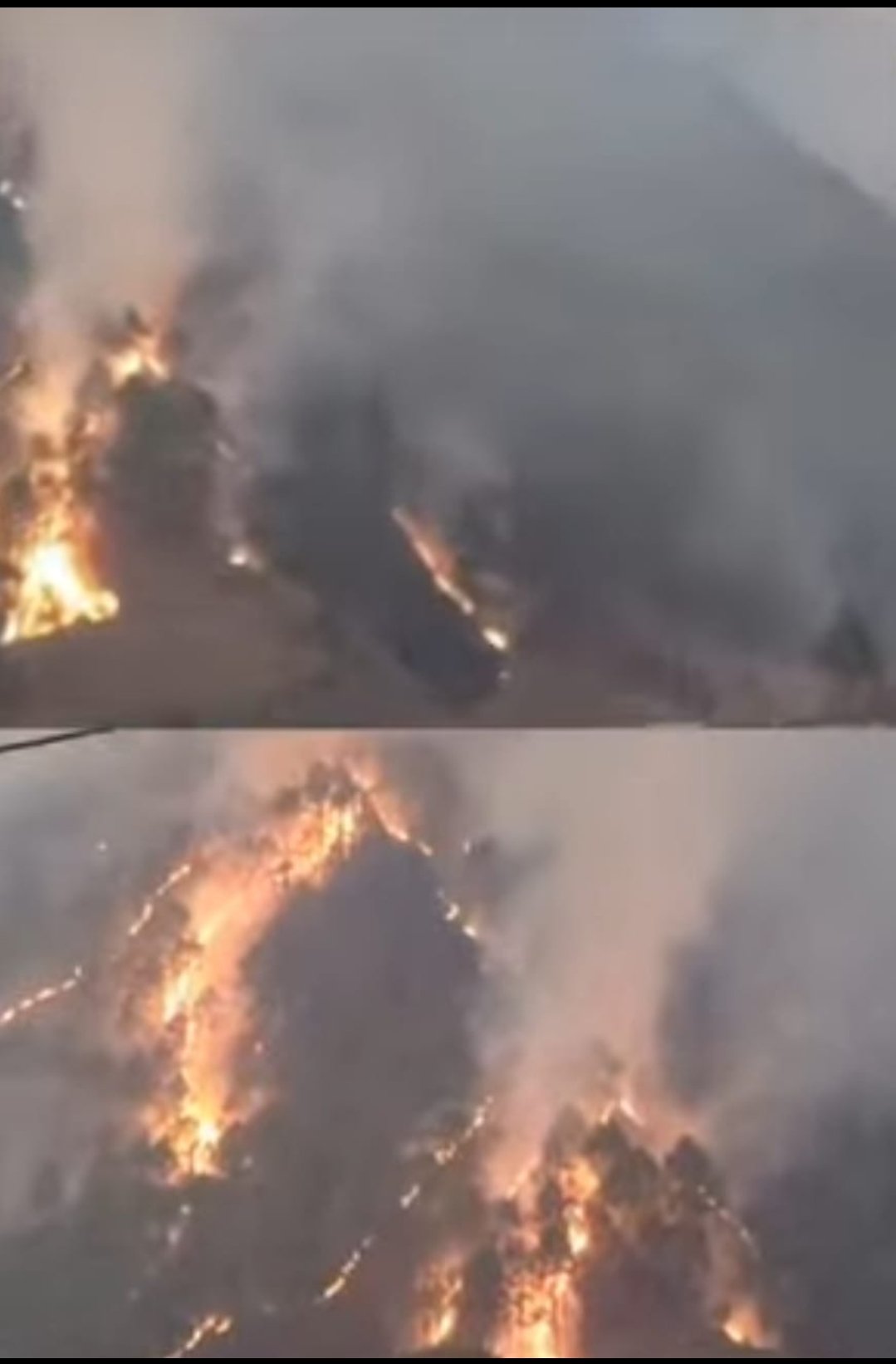 उत्तराखंड के चम्बोली जिले के थराली बद्रीनाथ वन प्रभाग विस्तार में लगी भयंकर आग:: आग पर कंट्रोल करना हो रहा मुश्किल