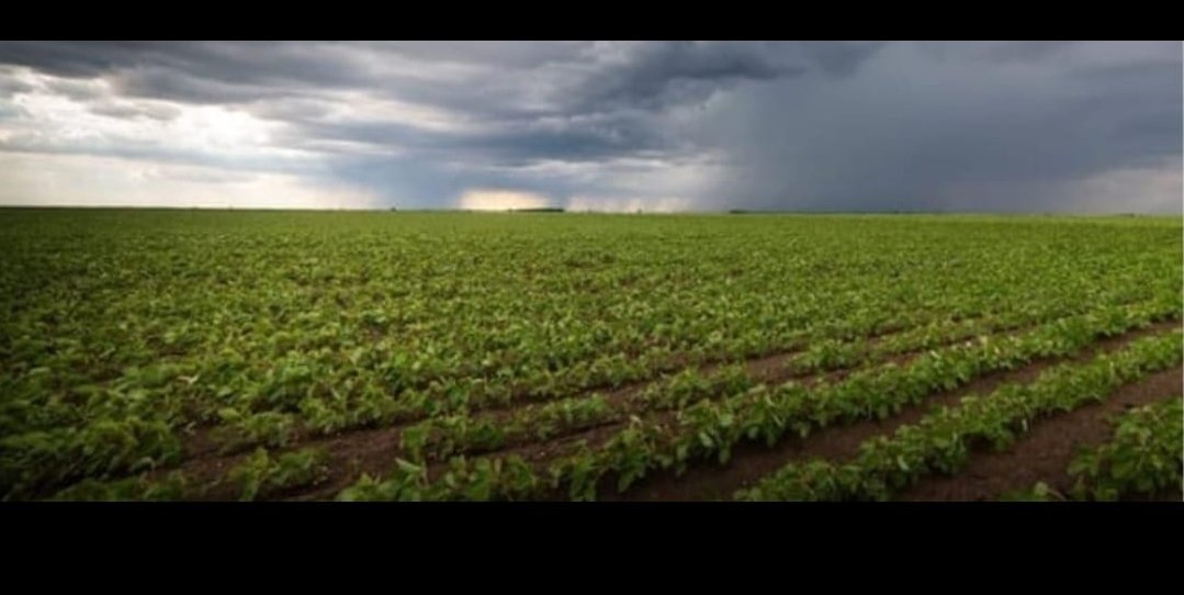 गुजरात प्रदेश में फिर एक बार मौसम बदलने के आसार १३ मार्च से १७ मार्च तक मौसम में तब्दीली देखने को मिल सकती हैं हवा मान के जानकार श्री रमेश बसिया जी ने की आगाही